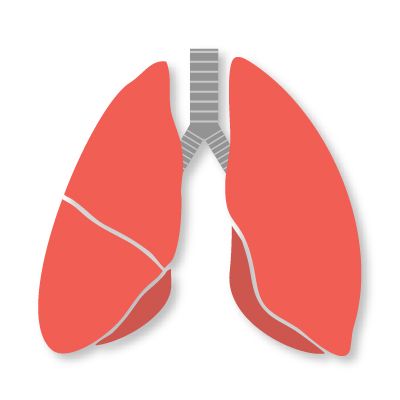 Enfermedad Respiratoria